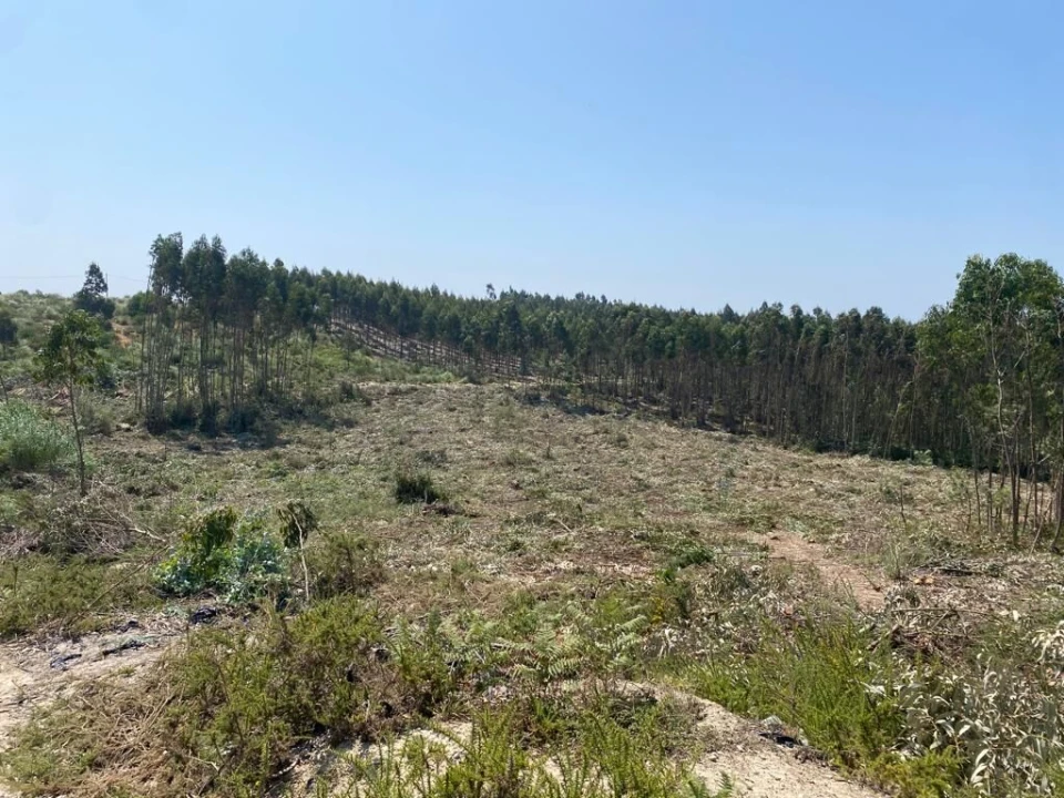 Terreno para Venda em A dos Cunhados e Maceira Foto 5