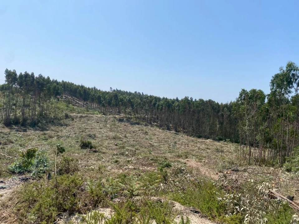 Terreno para Venda em A dos Cunhados e Maceira Foto 6