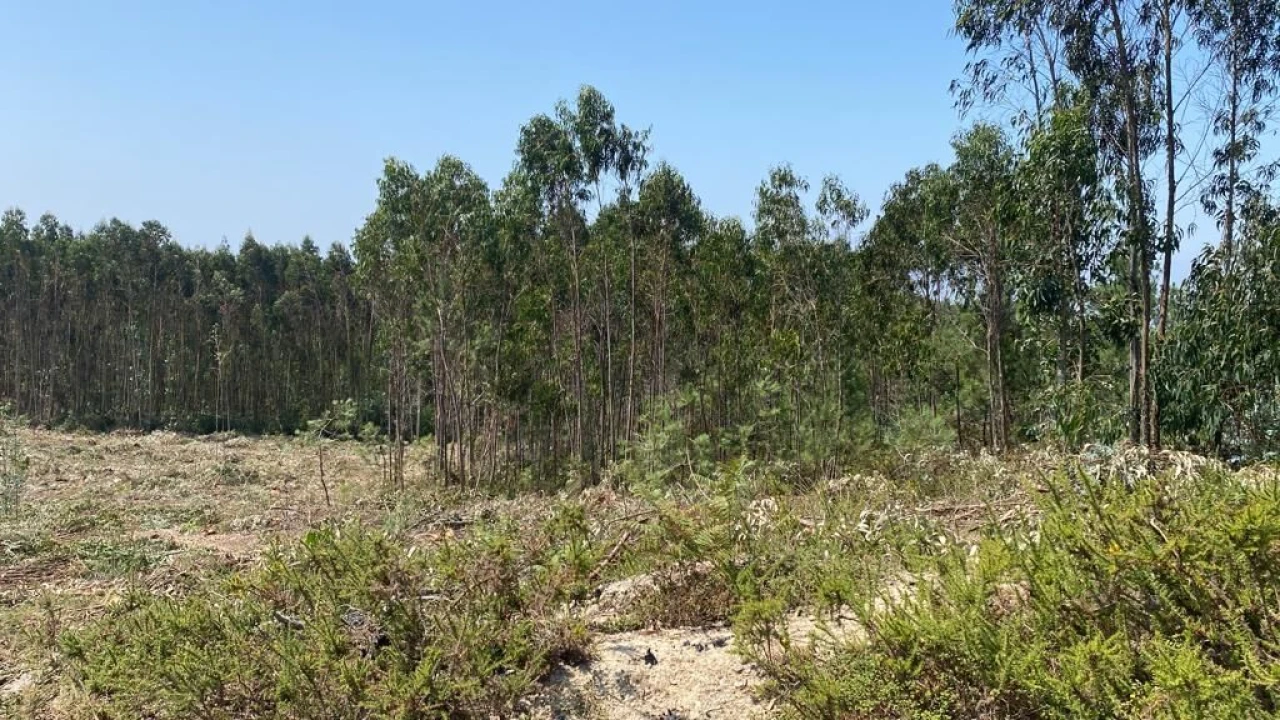 Terreno para Venda em A dos Cunhados e Maceira Foto 7