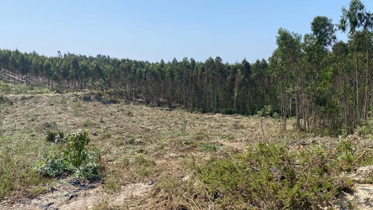 Terreno para Venda em A dos Cunhados e Maceira Foto 8