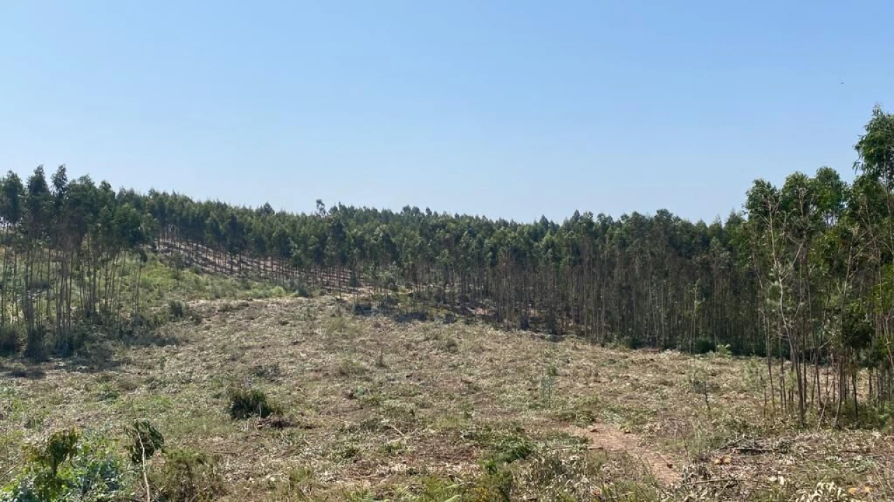 Terreno para Venda em A dos Cunhados e Maceira Foto 11
