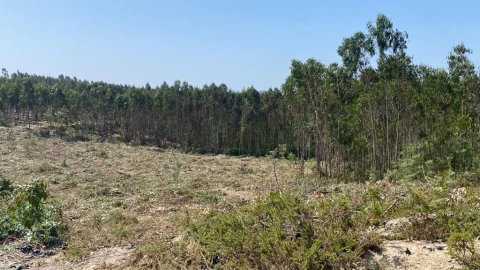 Terreno para Venda em A dos Cunhados e Maceira