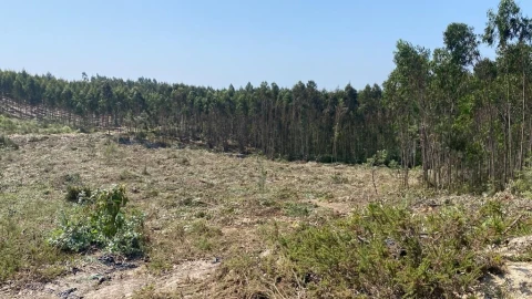 Terreno para Venda em A dos Cunhados e Maceira