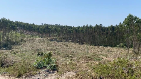 Terreno para Venda em A dos Cunhados e Maceira
