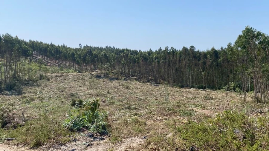 Terreno para Venda em A dos Cunhados e Maceira Foto 9