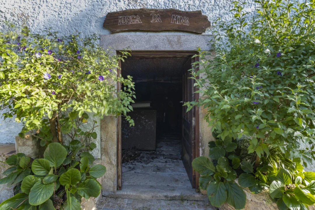 Armazém para Venda em São Miguel do Souto e Mosteirô Foto 36