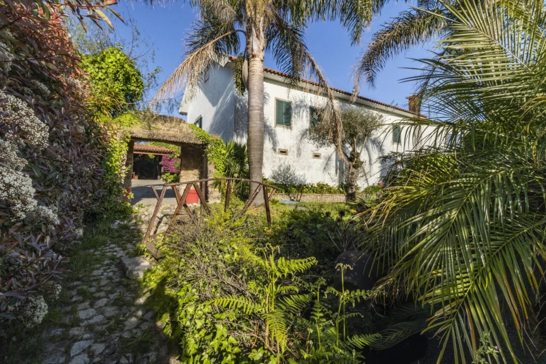 Armazém para Venda em São Miguel do Souto e Mosteirô Foto 39