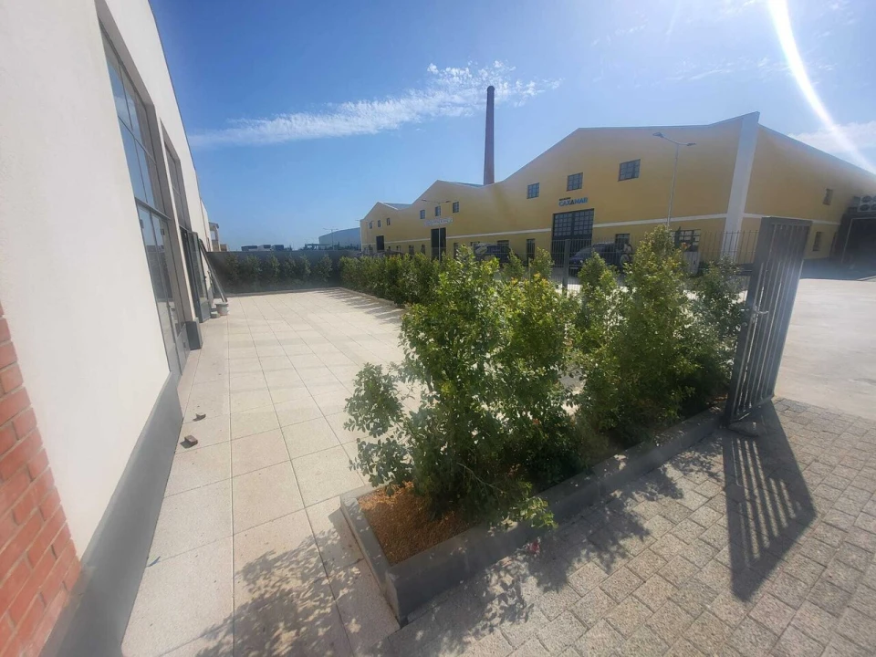 Loja para Arrendamento em Algoz e Tunes Foto 30