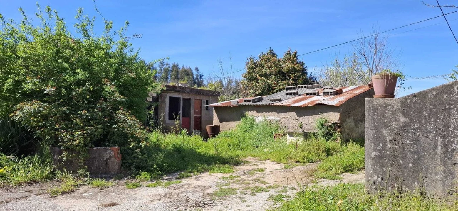 Moradia T3 para Venda em Beco Foto 15