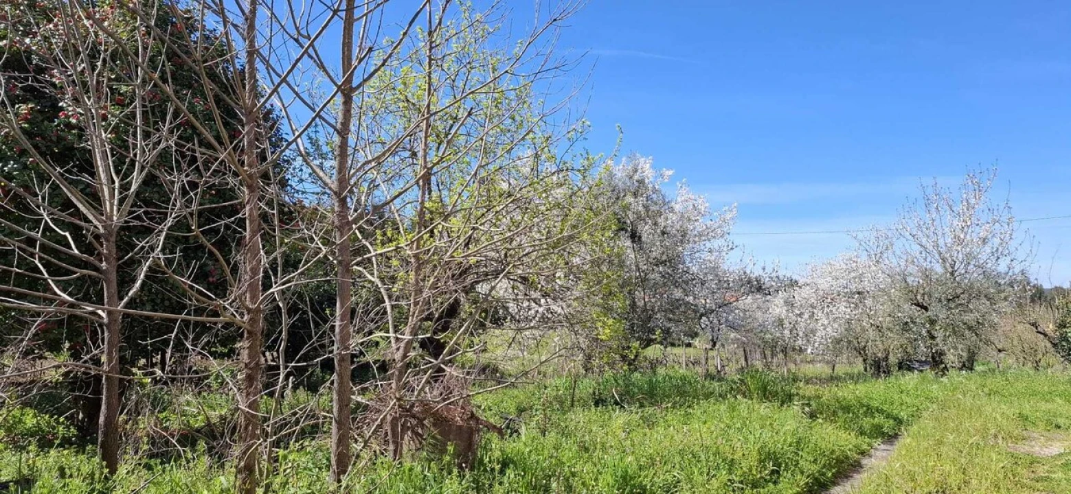 Moradia T3 para Venda em Beco Foto 18