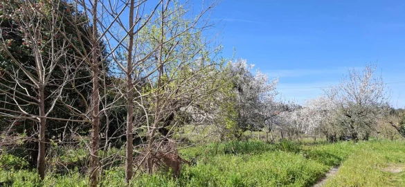 Moradia T3 para Venda em Beco