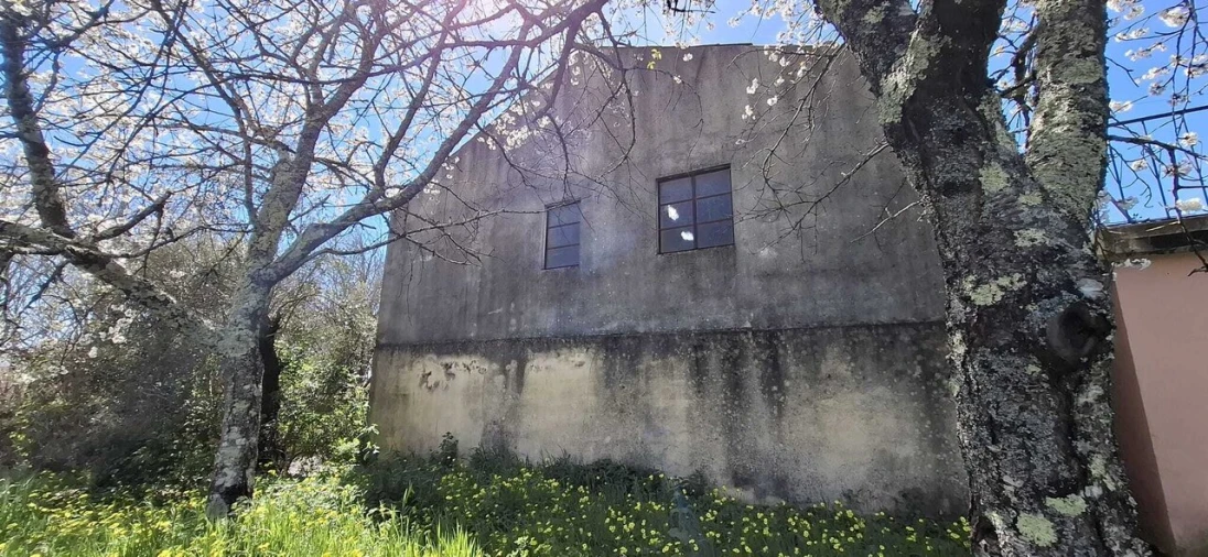 Moradia T3 para Venda em Beco Foto 20