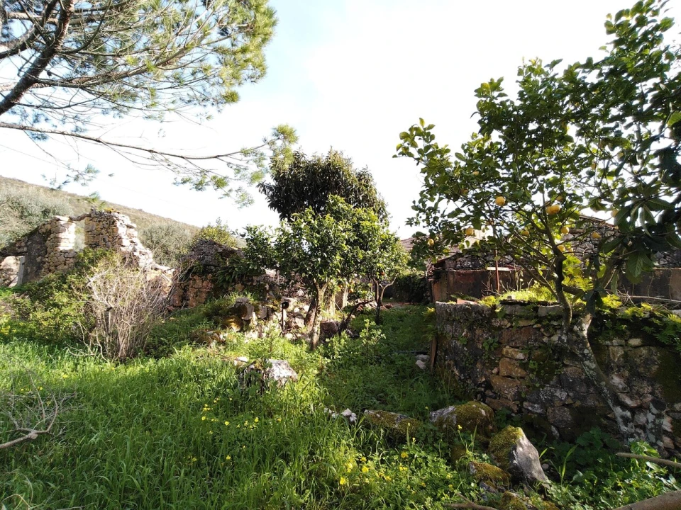 Moradia T4 para Venda em Pelma Foto 33