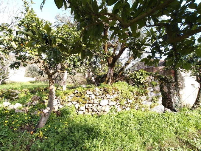 Moradia T4 para Venda em Pelma Foto 34