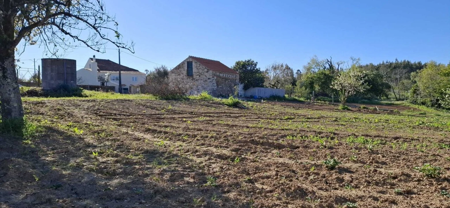 Moradia T2 para Venda em Beco Foto 2