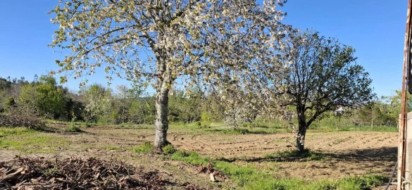 Moradia T2 para Venda em Beco