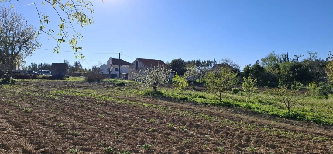 Moradia T2 para Venda em Beco Foto 4