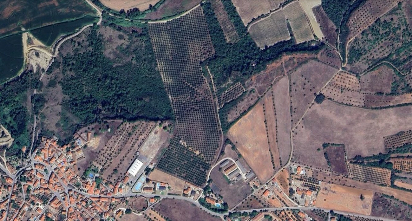 Terreno para Venda em Marmeleira e Assentiz Foto 1