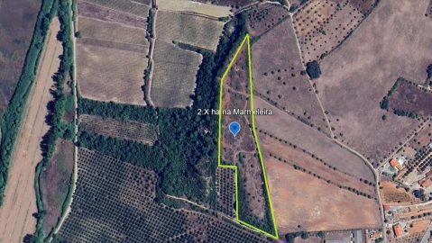 Terreno para Venda em Marmeleira e Assentiz