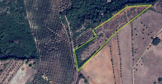 Terreno para Venda em Marmeleira e Assentiz