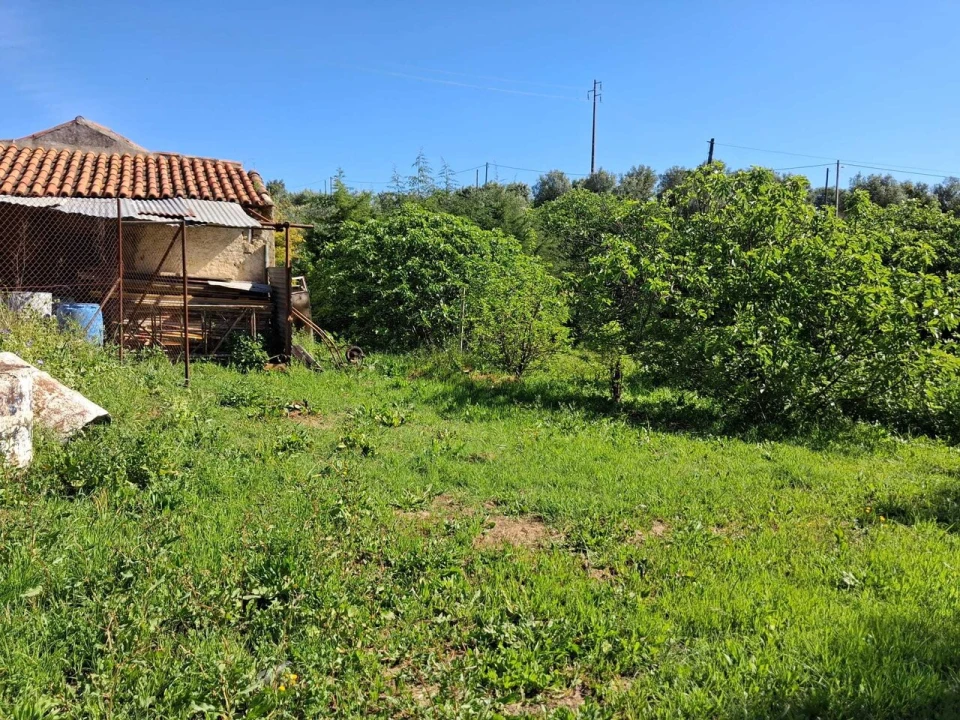 Moradia T2 para Venda em Torres Novas (São Pedro), Lapas e Ribeira Branca Foto 7