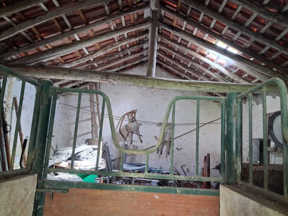 Moradia T2 para Venda em Torres Novas (São Pedro), Lapas e Ribeira Branca Foto 16