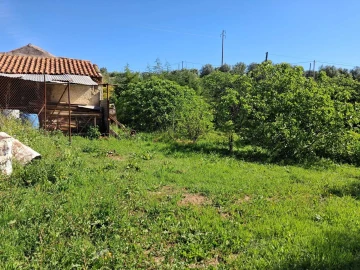 Moradia T2 para Venda em Torres Novas (São Pedro), Lapas e Ribeira Branca