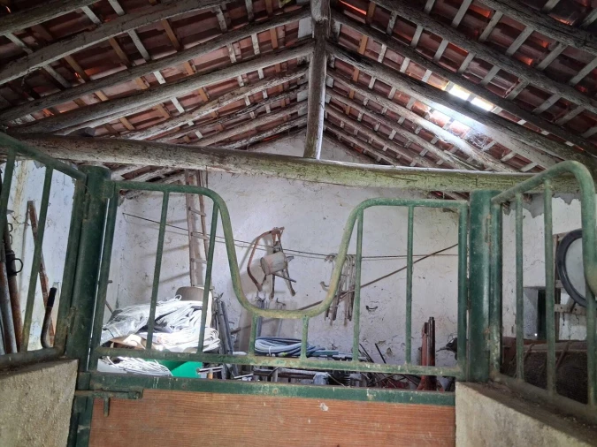 Moradia T2 para Venda em Torres Novas (São Pedro), Lapas e Ribeira Branca Foto 16