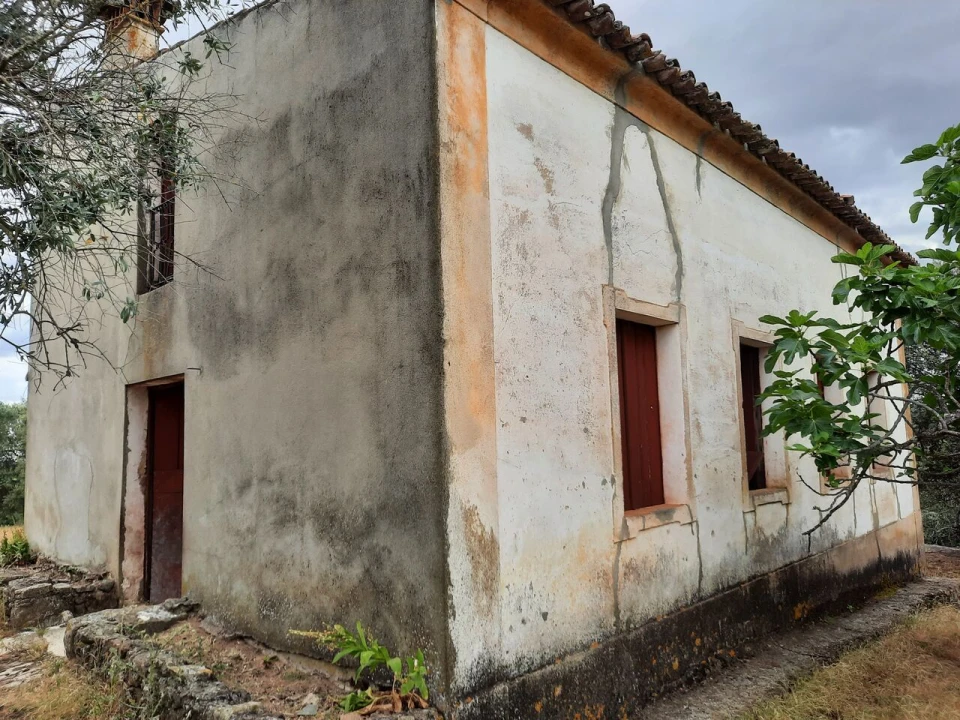 Quinta T1 para Venda em Sé e São Lourenço Foto 3