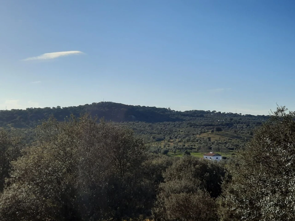Quinta T1 para Venda em Sé e São Lourenço Foto 5