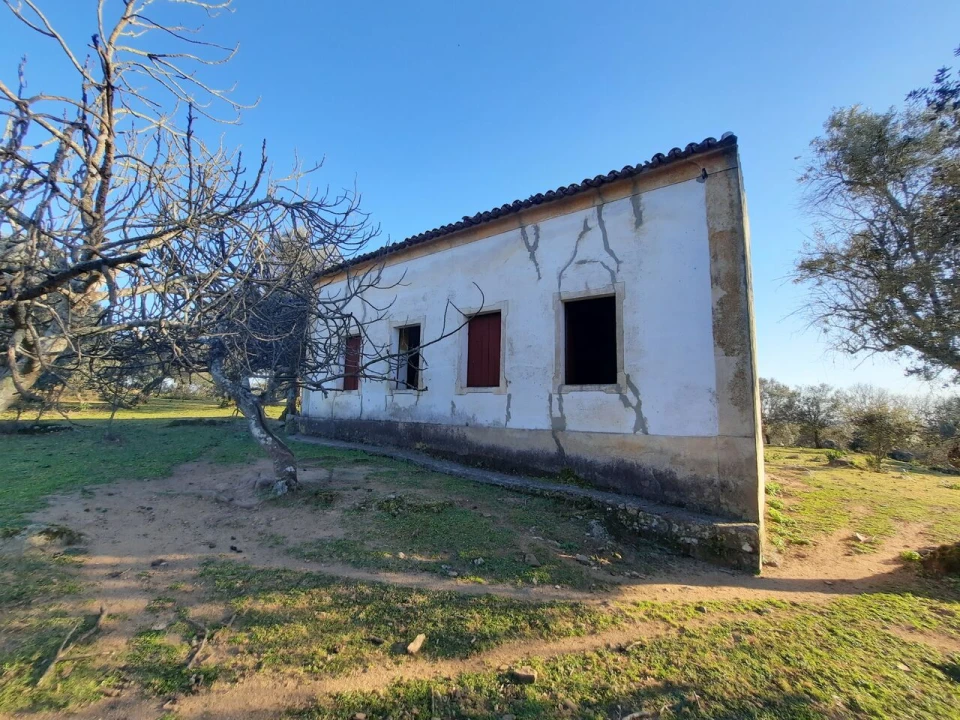 Quinta T1 para Venda em Sé e São Lourenço Foto 6