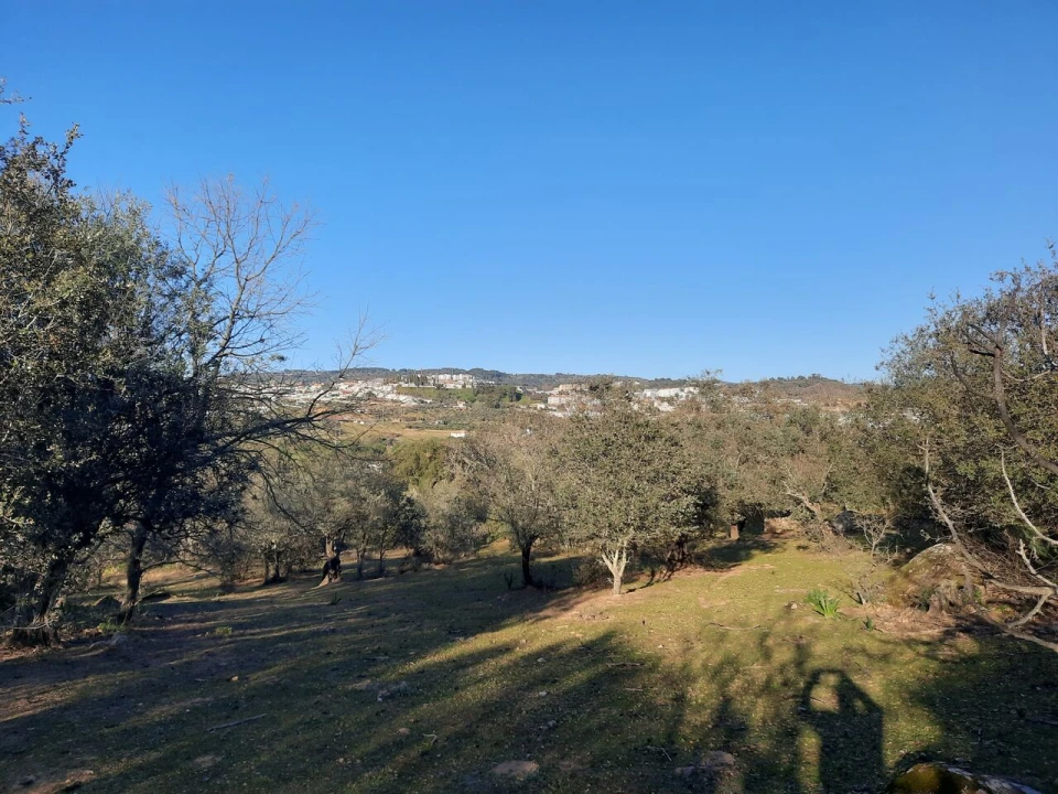 Quinta T1 para Venda em Sé e São Lourenço Foto 7