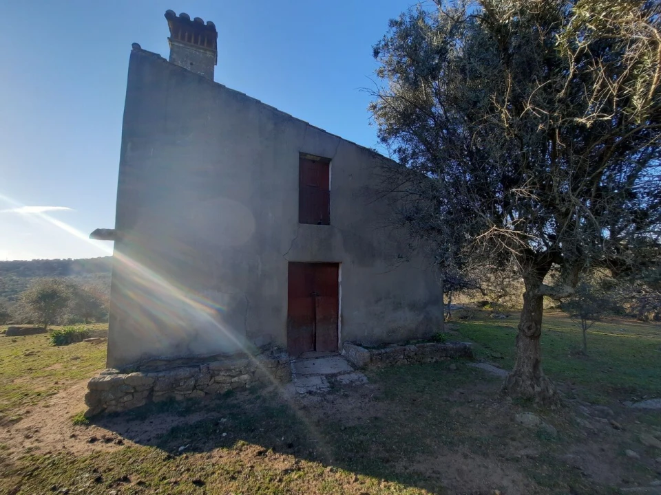 Quinta T1 para Venda em Sé e São Lourenço Foto 9