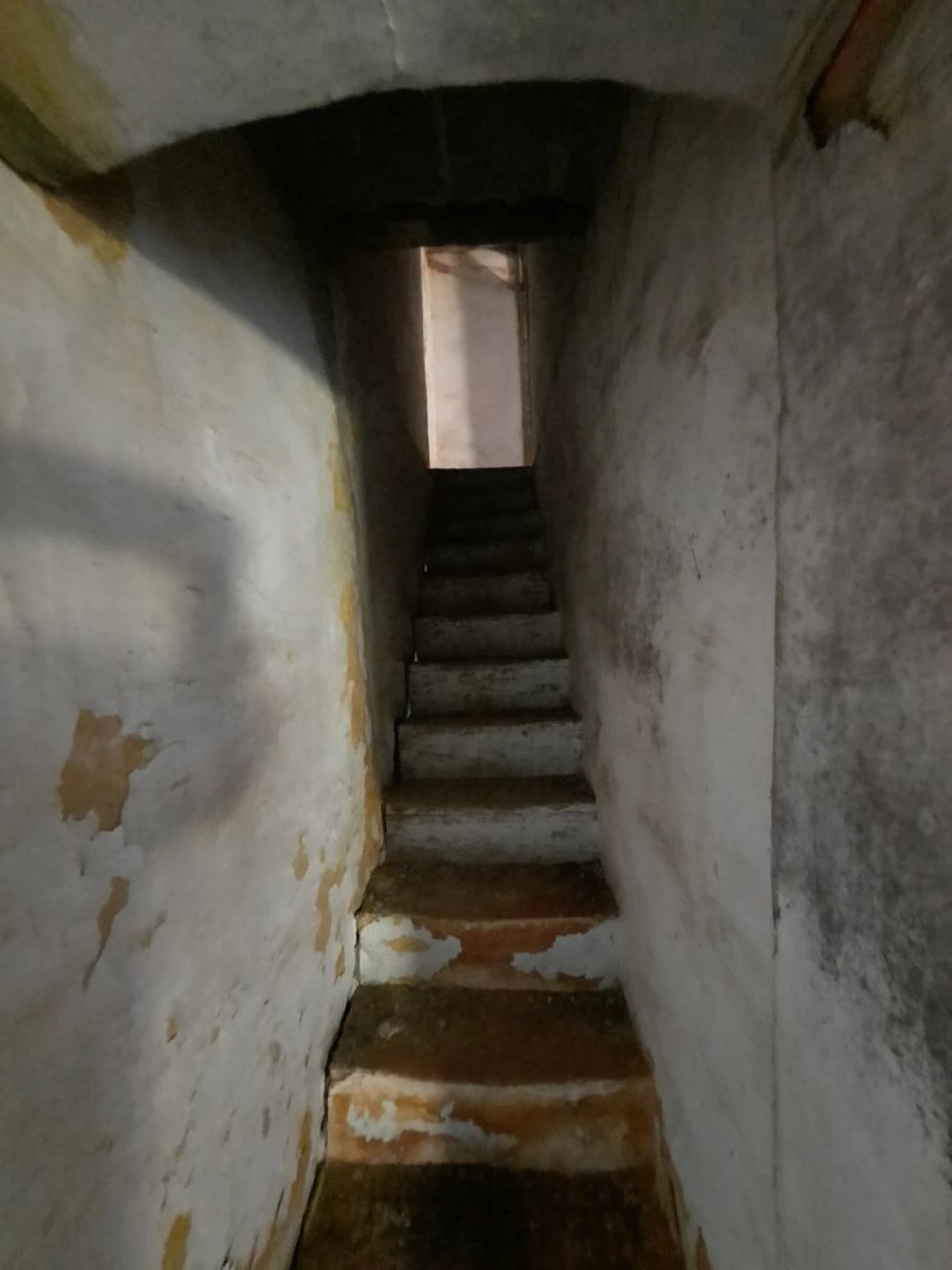 Quinta T1 para Venda em Sé e São Lourenço Foto 15