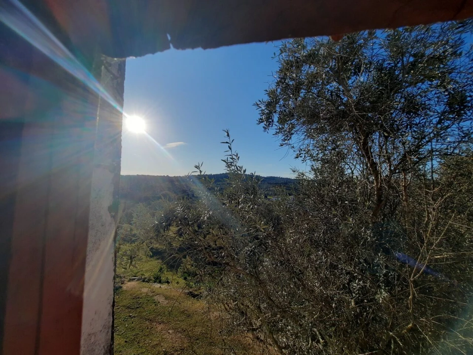 Quinta T1 para Venda em Sé e São Lourenço Foto 22