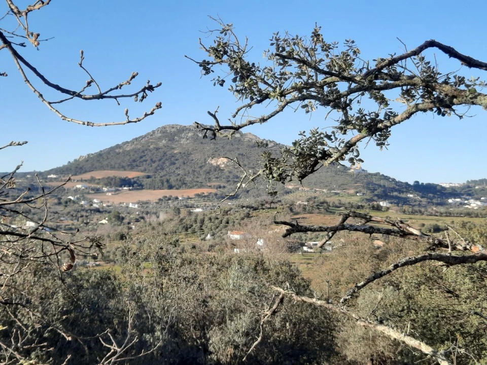 Quinta T1 para Venda em Sé e São Lourenço Foto 24
