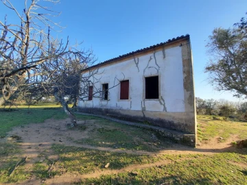 Quinta T1 para Venda em Sé e São Lourenço