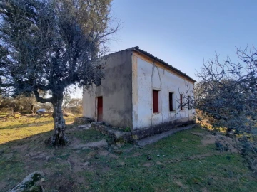 Quinta T1 para Venda em Sé e São Lourenço