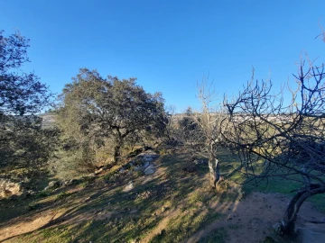 Quinta T1 para Venda em Sé e São Lourenço