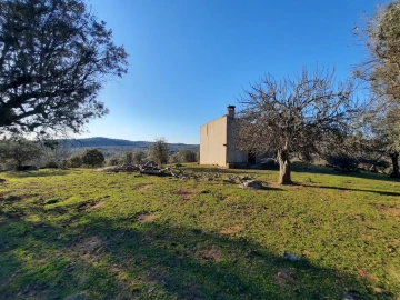 Quinta T1 para Venda em Sé e São Lourenço