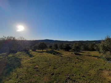 Quinta T1 para Venda em Sé e São Lourenço