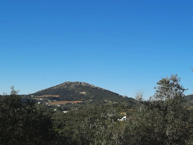 Quinta T1 para Venda em Sé e São Lourenço Foto 2