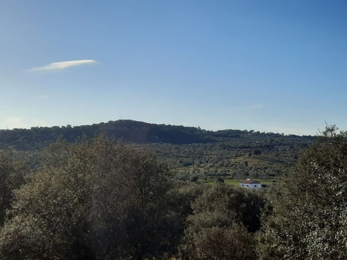 Quinta T1 para Venda em Sé e São Lourenço Foto 5