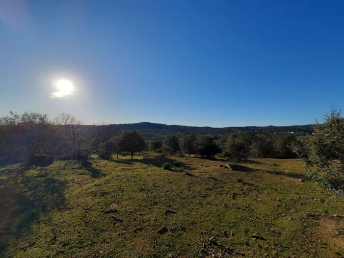 Quinta T1 para Venda em Sé e São Lourenço Foto 26