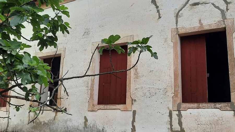 Quinta T1 para Venda em Sé e São Lourenço