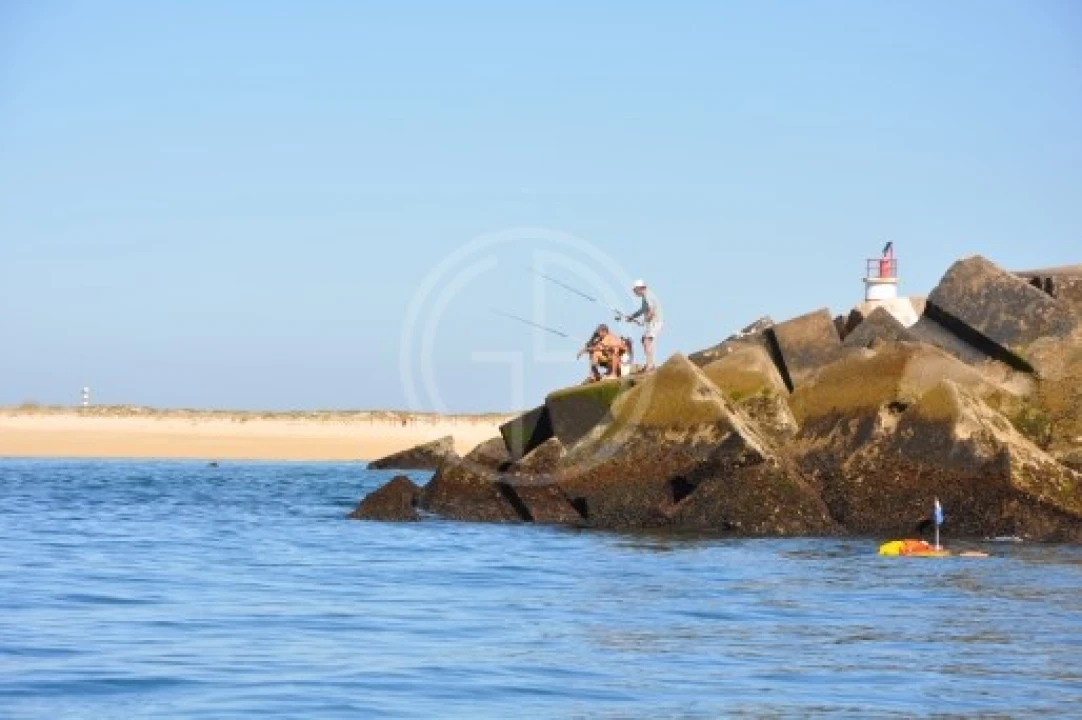 Terreno para Venda em Faro (Sé e São Pedro) Foto 16