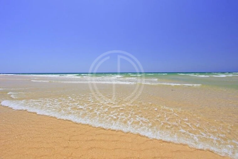 Terreno para Venda em Faro (Sé e São Pedro) Foto 5