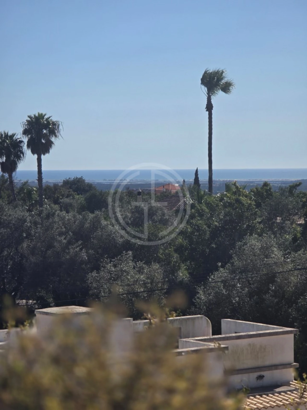 Terreno para Venda em Santa Barbara de Nexe Foto 1