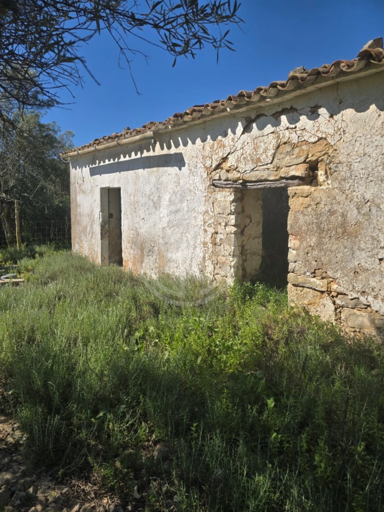 Terreno para Venda em Santa Barbara de Nexe Foto 3