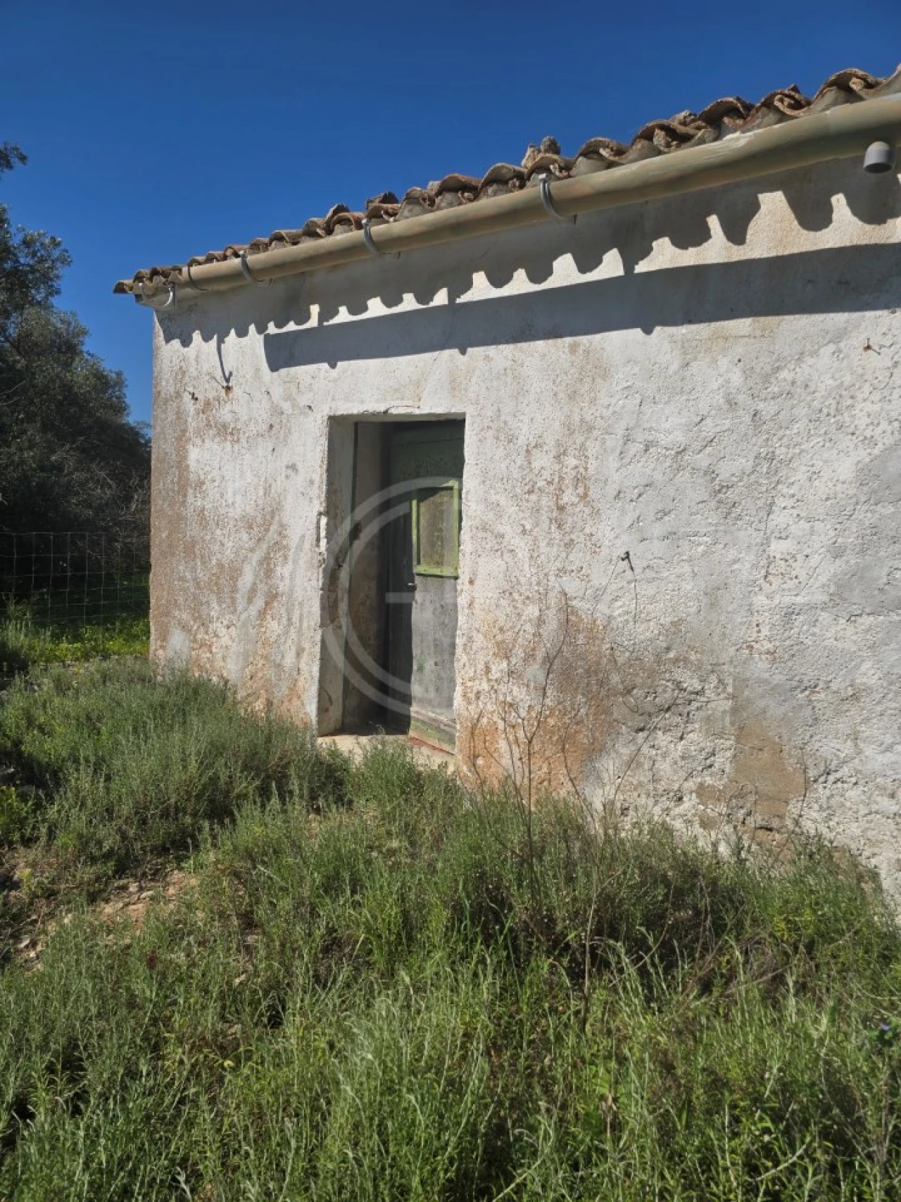Terreno para Venda em Santa Barbara de Nexe Foto 7